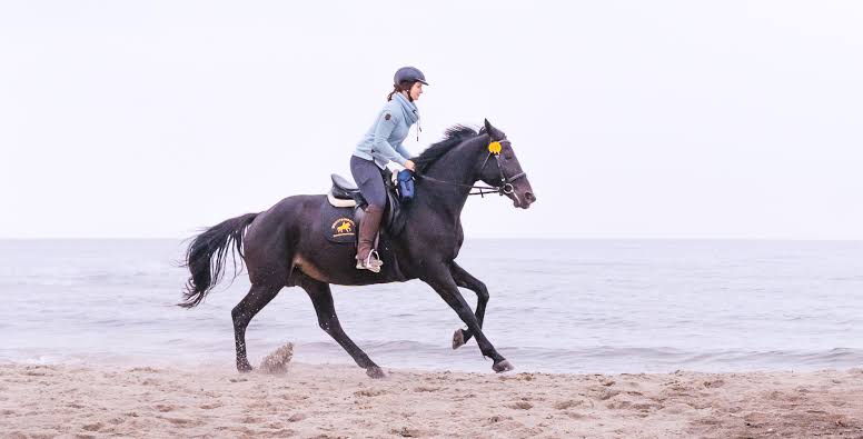 Reiten